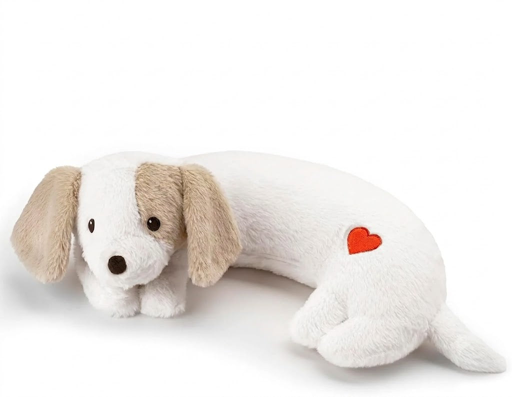The Puppy Companion